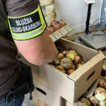 Cebula, buraki i… miliony papierosów! Skarbówka udaremniła gigantyczny przemyt!