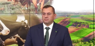 Krajewski ogłosił nowe formy wsparcia: Tanie kredyty zamiast dopłat do zbóż