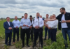 Grad zniszczył pola w Wielkopolsce. Minister Krajewski zapowiada szybką pomoc dla rolników