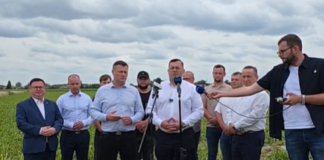 Grad zniszczył pola w Wielkopolsce. Minister Krajewski zapowiada szybką pomoc dla rolników