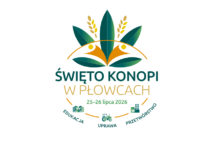 Czy konopie włókniste mogą stać się strategiczną uprawą dla Polski? Odpowiedzi będą szukać uczestnicy Święta Konopi w Płowcach