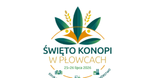 Czy konopie włókniste mogą stać się strategiczną uprawą dla Polski? Odpowiedzi będą szukać uczestnicy Święta Konopi w Płowcach