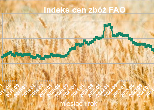 FAO:Ceny głównych zbóż rosły w październiku