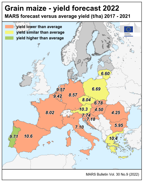 Prognoza plonów kukurydzy na ziarno 2022
