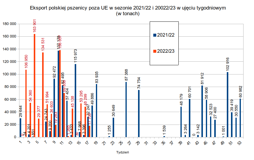 Duże zainteresowanie polską pszenicą ze strony importerów