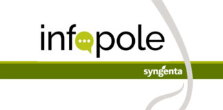 Raporty Infopole – solidna dawka wiedzy z pola!