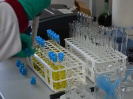 Drobnoustroje zmniejszą potrzebę nawożenia