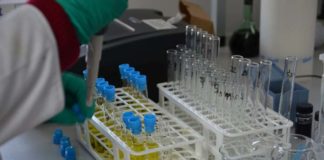Drobnoustroje zmniejszą potrzebę nawożenia