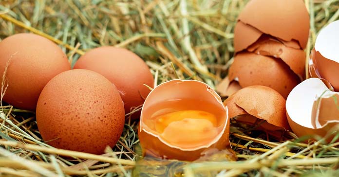 jaja, Krajowa Izba Producentów Drobiu i Pasz, ceny jaj, koronawirus