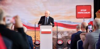 Kaczyński stawia wszystko na wieś. PiS zapowiada wielkie zmiany w rolnictwie
