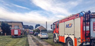Byki zaatakowały właścicieli gospodarstwa. Dramat w Wielkopolsce