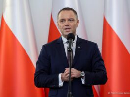 Psy i koty pod kontrolą państwa. Prezydent podpisał ustawę