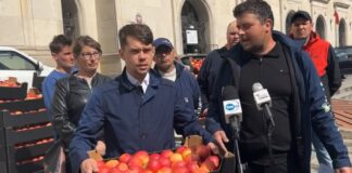 Tona jabłek pod ministerstwem! AGROunia manifestuje dramatyczną sytuację sadowników