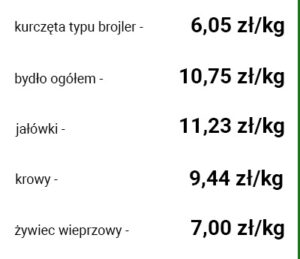 kolumna3_29_07