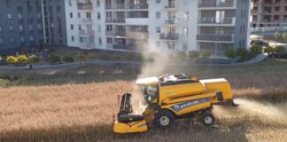 Rolnik z Lublina orze między blokami. Wciąż nie sprzedał ziemi deweloperom