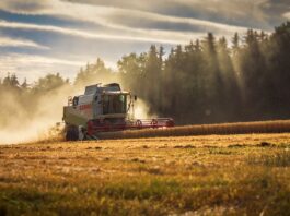 Ukraińskie zboże utknęło. Kijów chce od UE 220 mln euro wsparcia