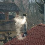 Wały na „Czystym Powietrzu”: Kto musi oddać dofinansowanie wraz z odsetkami?