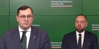 Główny Lekarz Weterynarii potwierdza: dzik był przeniesiony! Służby w pełnej mobilizacji