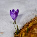 Po siarczystych mrozach nagły zwrot w pogodzie. IMGW pokazał moment przełomu