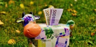 Copa Cogeca – rolnictwu i leśnictwu należy się wsparcie zaliczki na poczet dopłat bezpośrednich, rolnik, rolnictwo, ARiMR, Jan Krzysztof Ardanowski, dopłaty, zaliczki, susza, KE