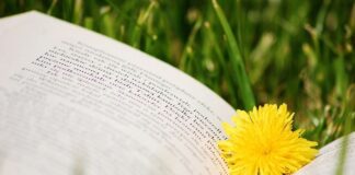 NFOŚiGW dofinansuje studia podyplomowe z zakresu ochrony atmosfery i klimatu