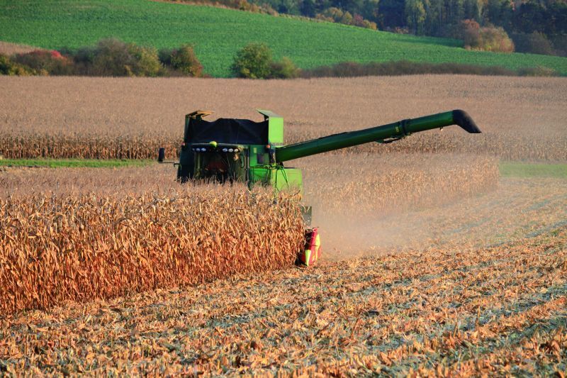 Unijne kontrakty na zboża oraz amerykańska pszenica zamknęły miniony tydzień na 4-5% plusie