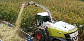 CLAAS wraz z SYNGENTA maksymalizuje plony z kukurydzy