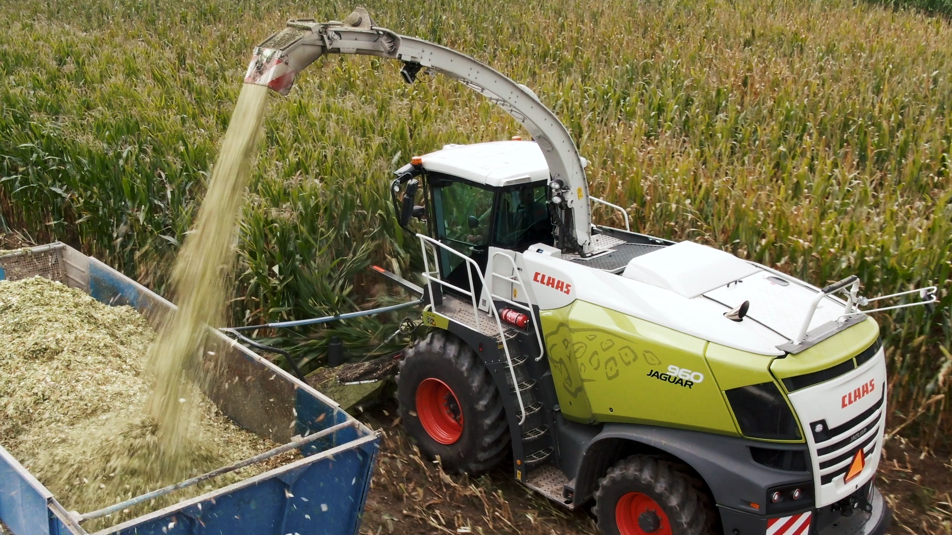 CLAAS wraz z SYNGENTA maksymalizuje plony z kukurydzy