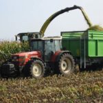 W jaki sposób prawidłowe oznaczenie SM kukurydzy wpływa na produkcję mleczną?