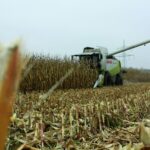 KE pokazała prognozy dla Polski. Kukurydza największym przegranym sezonu