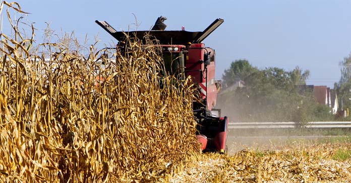 CAP, Grupa Wyszehradzka, KE, Polska, rolnictwo, Trójkąt Weimarski, UE, WPR, Wspólna Polityka Rolna 