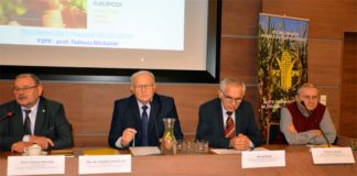 Słabe zbiory, zaskakująco niskie ceny. PZPK podsumowuje sezon w kukurydzy
