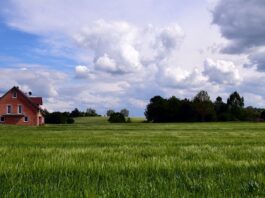 Ostrzeżenia dla wnioskodawców i beneficjentów programu „Czyste Powietrze”
