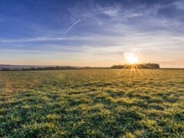 Wiosna znów pokazuje pazur. Przymrozki i burze nad Polską