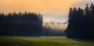 Skrót najważniejszych wydarzeń w rolnictwie i agrobiznesie (21.11.- 25.11.2022)