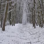 Prognoza pogody: mróz i śnieżyce szybko nie odpuszczą!