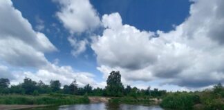 Prognoza meteorologiczna i szczegółowa prognoza hydrologiczna na kolejne 7 dni (30.06-06.07.2023 r.)