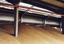 Wroński: Agroport stoi, zboże zalega. „Nikogo to nie obchodzi”