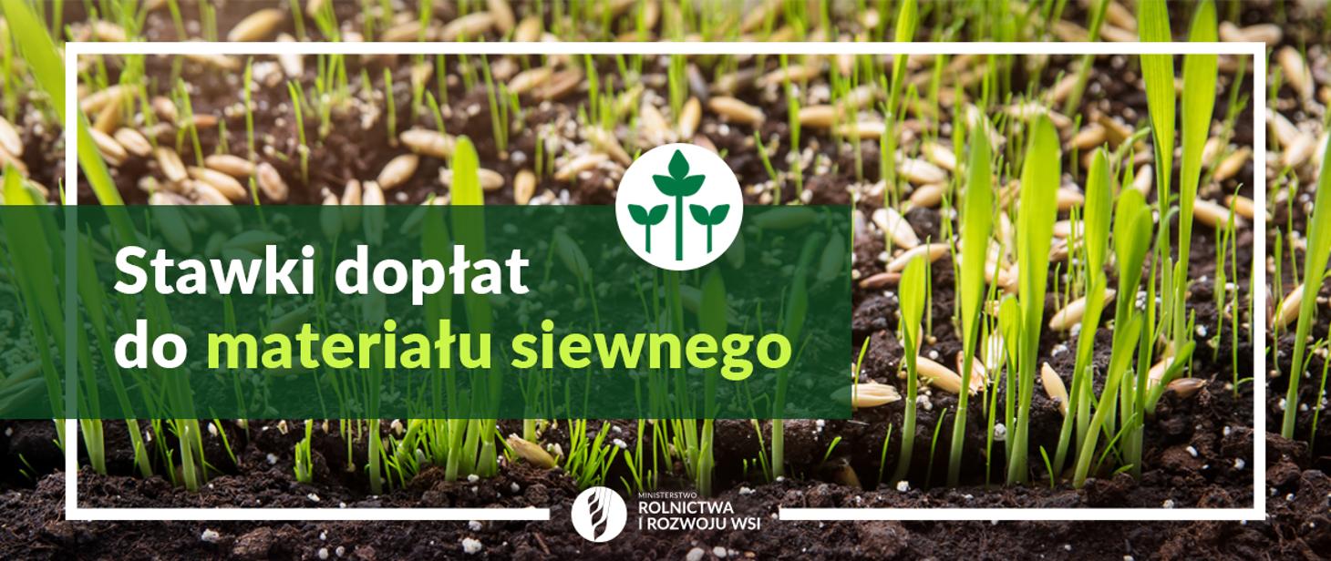 Stawki dopłat do materiału siewnego