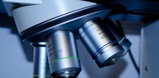Laboratoria ISTA będą badały czystość nasion wysyłanych do Australii