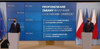 PILNE: Rząd zaproponował zmiany do ustawy o ochronie zwierząt