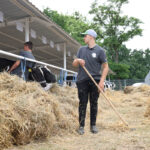 Premie dla młodych rolników – nabór od 30 sierpnia