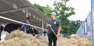 Premie dla młodych rolników – nabór od 30 sierpnia