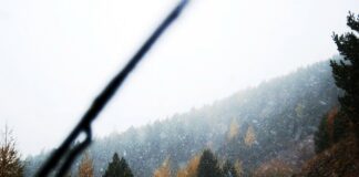 Prognoza pogody na pierwszy tydzień roku