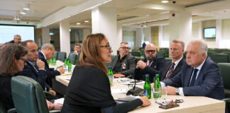 Ochrona zwierząt podczas transportu. Najważniejsze zmiany w projekcie