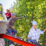WPR: Silne rolnictwo, bezpieczna żywność