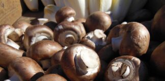 Wysokie koszty produkcji uderzają w producentów pieczarek