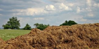 Jak prawidłowo przechowywać nawozy naturalne?