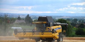 Żniwa po polsku z New Holland