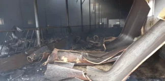 Tragedia w Maliszewie: 30 krów nie przeżyło pożaru obory